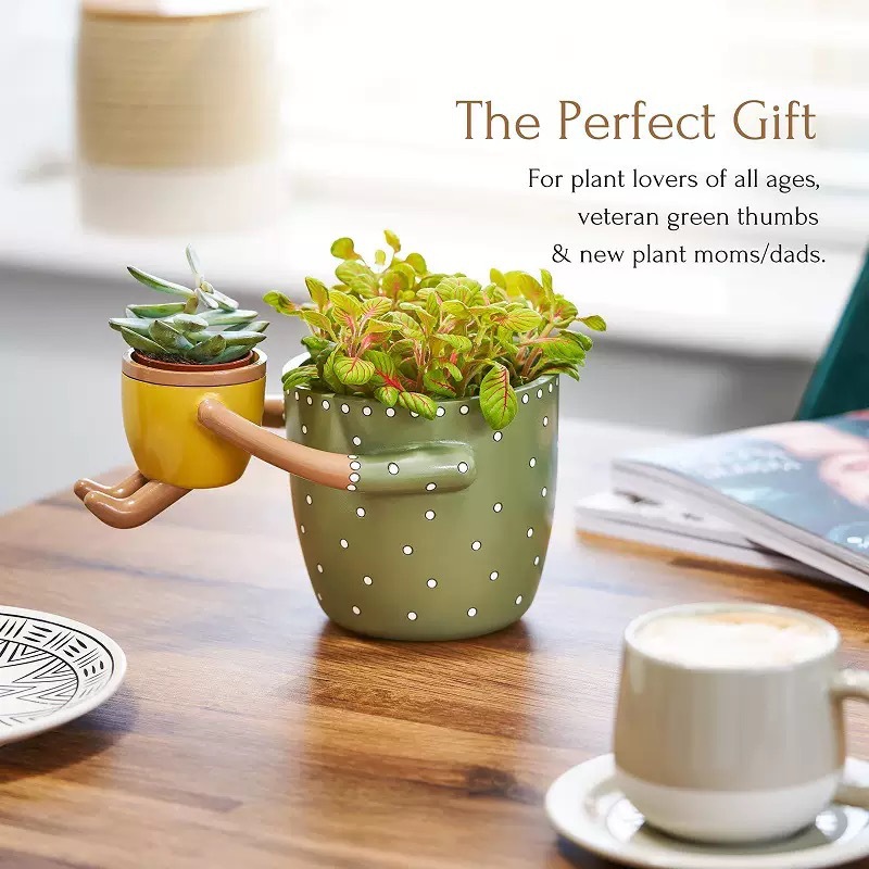 Декоративный цветочный горшок  – обзор и цена Plant Parent Pot